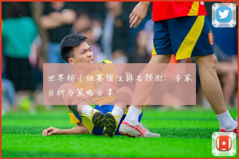 世界杯小组赛赌注排名预测:专家分析与策略分享