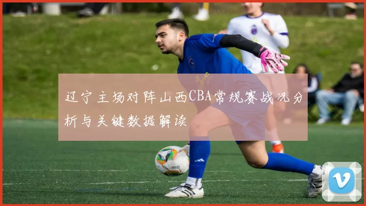 辽宁主场对阵山西CBA常规赛战况分析与关键数据解读