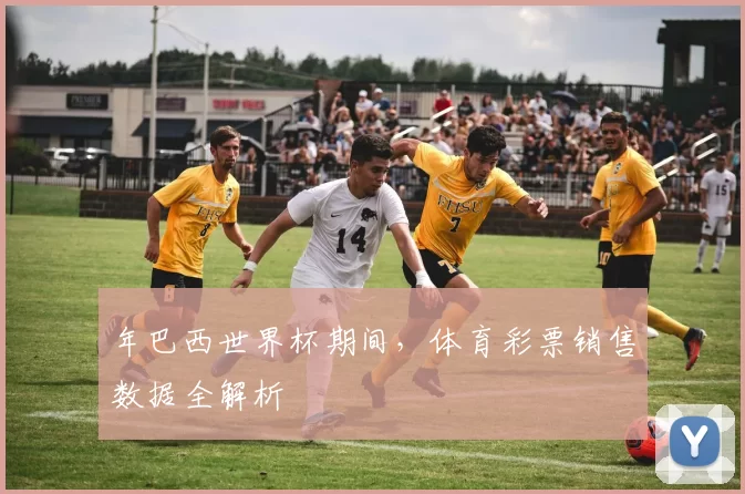 年巴西世界杯期间,体育彩票销售数据全解析