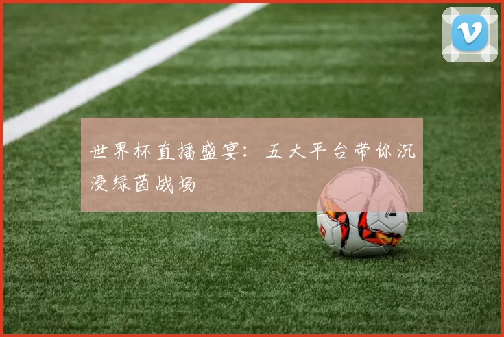 世界杯直播盛宴：五大平台带你沉浸绿茵战场