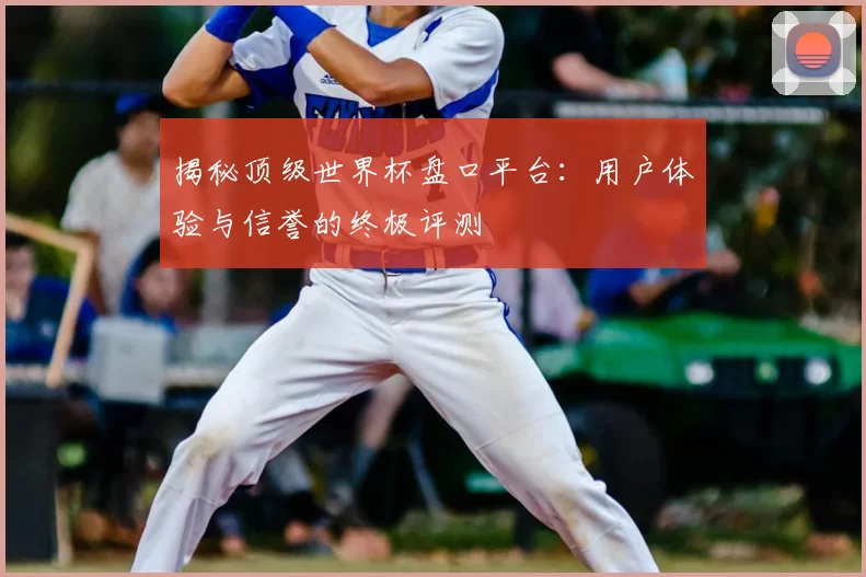 揭秘顶级世界杯盘口平台:用户体验与信誉的终极评测