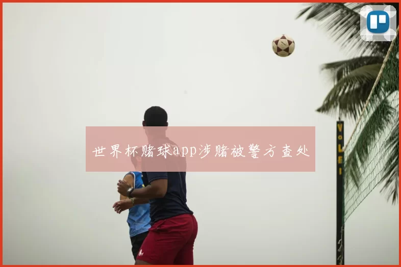 世界杯赌球app涉赌被警方查处