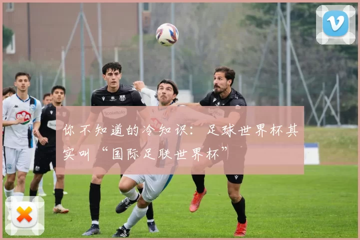 你不知道的冷知识:足球世界杯其实叫“国际足联世界杯”
